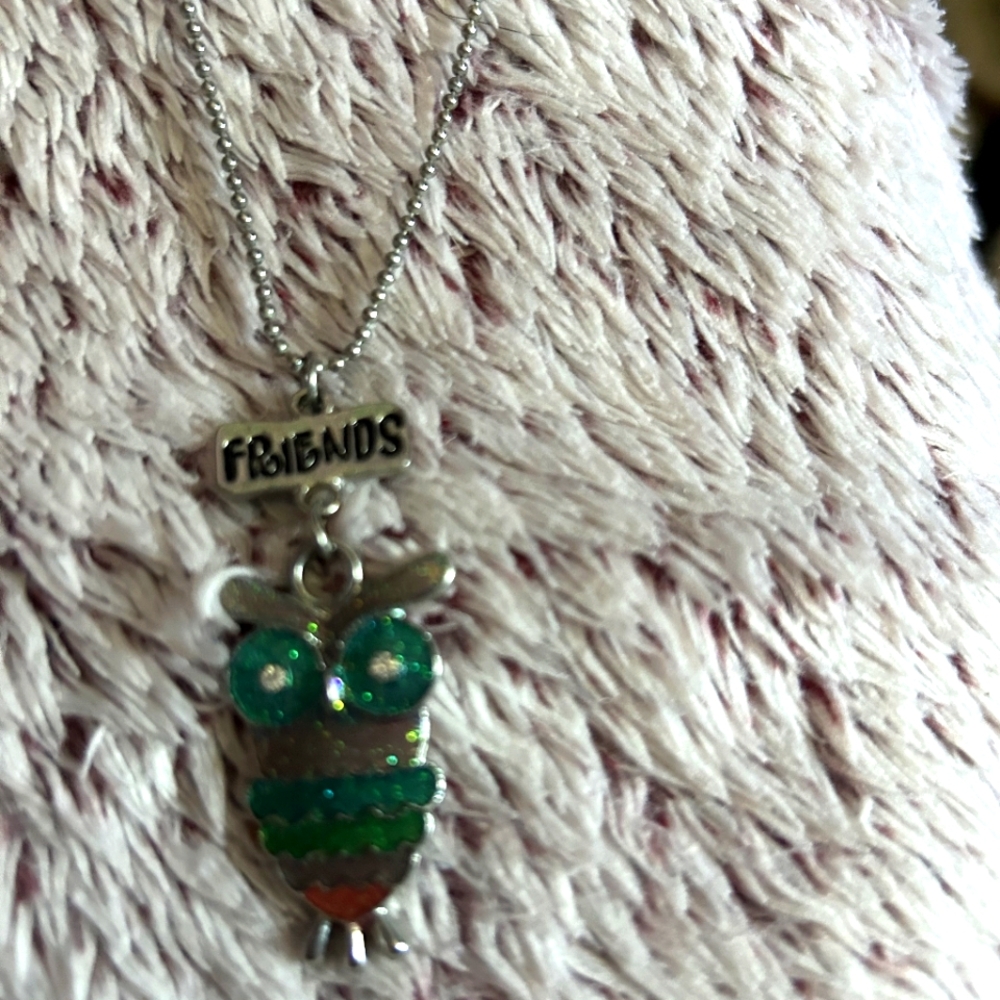 Silver Owl Pendant Necklace